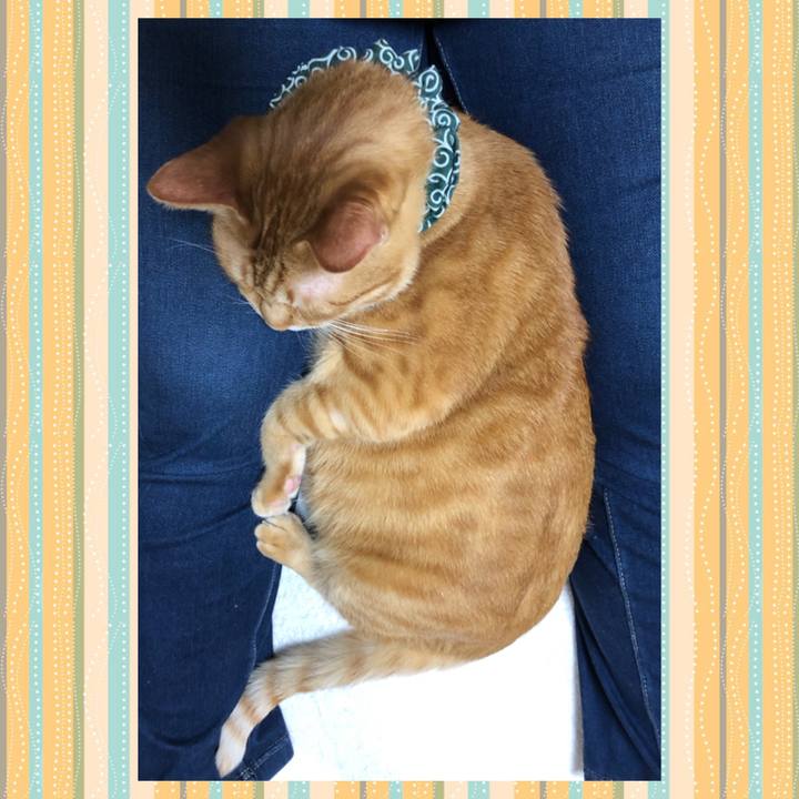 C6c759ec 48b5 42ed 9b83 0eca27a2c84a 1577877860588