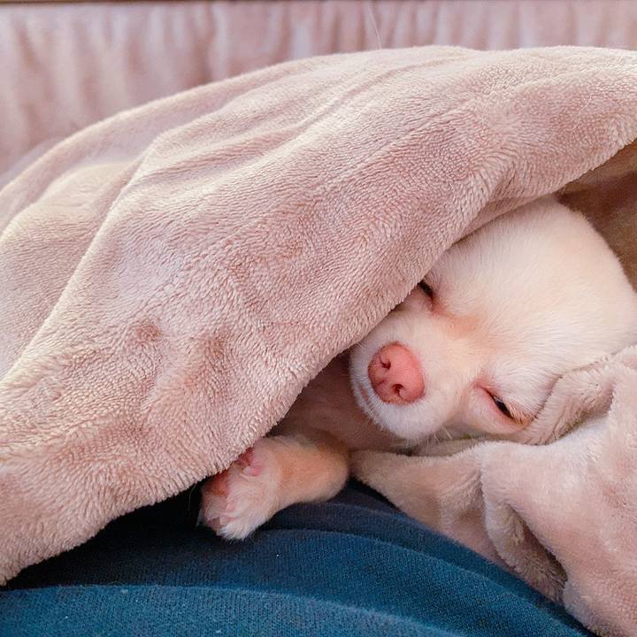 C6c76179 e7d8 44b2 9158 40af65de3868 1614132395708