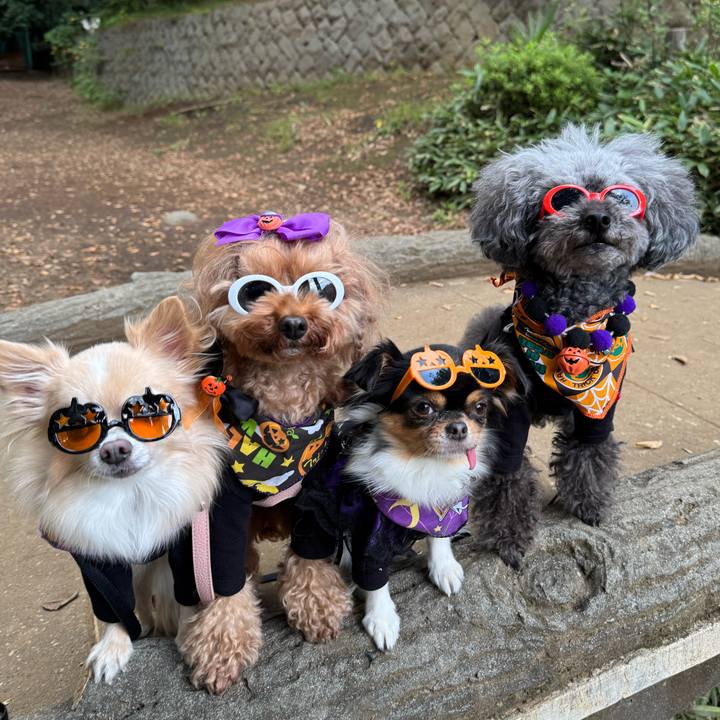 C6c762f7 dcb7 4ba2 ab63 177896e8adbf 1761696752698