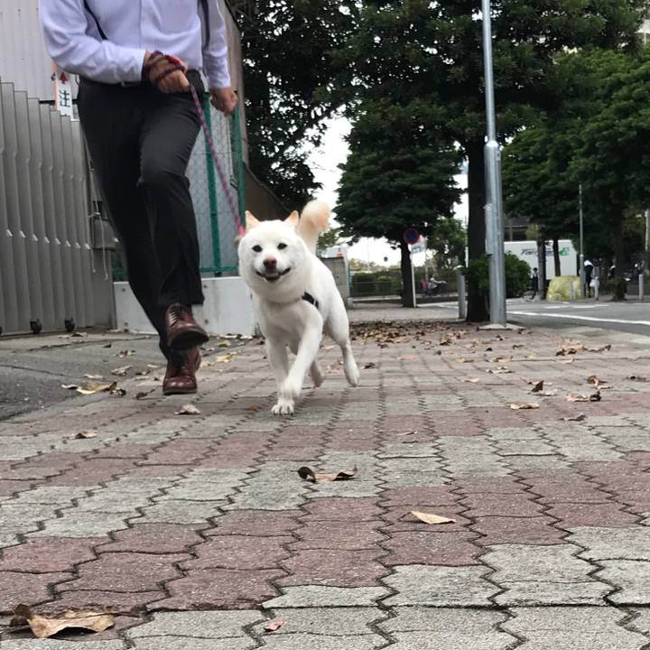 C6c767df 833f 4212 933c 5258d7b92fec 1539301939444