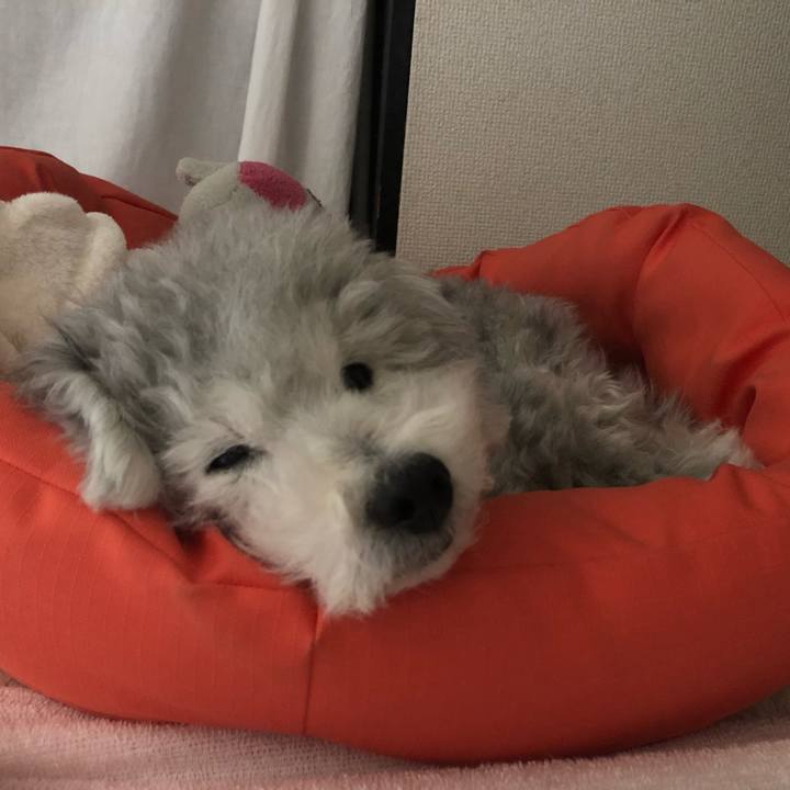 C6c79488 4ffe 4a6e 89e9 1a3efe43b909 1555717875311