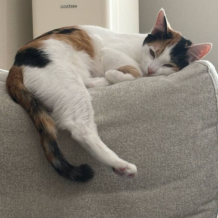 C6c7d67e b16d 4d75 bf31 fae9cfe4632a 1767925857058