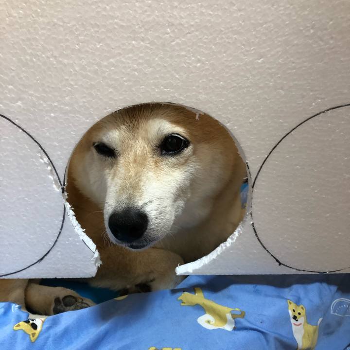 C6c7e5aa 5c88 478d b609 050f54d92106 1594863135166