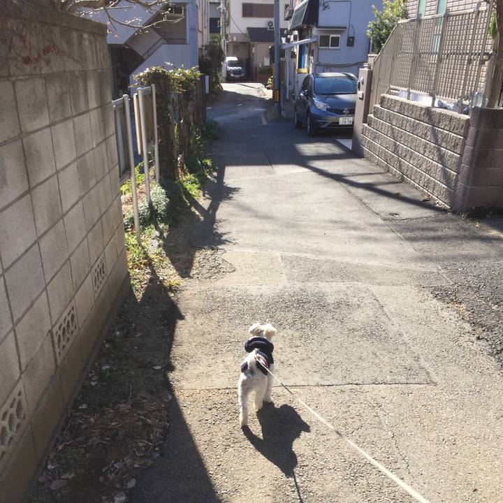 C6c806b0 d89a 4c95 ac18 5a403d6f2d6d 1514971757394