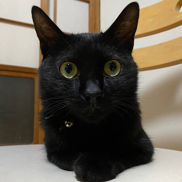 C6c87050 f511 4a0a b031 c3b5f2da9ab6 1692100412275