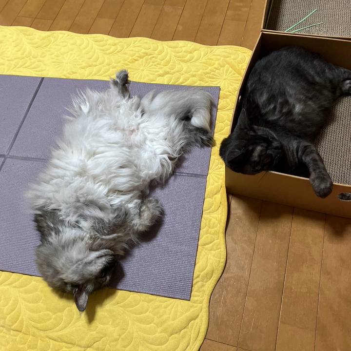 C6c92a24 78be 449b 9608 61176002a9f1 1732064784279