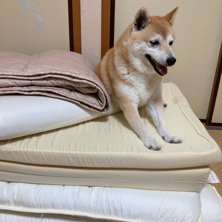 C6c9371e 29c4 4bb8 8fad 121f305f9af7 1632659806423