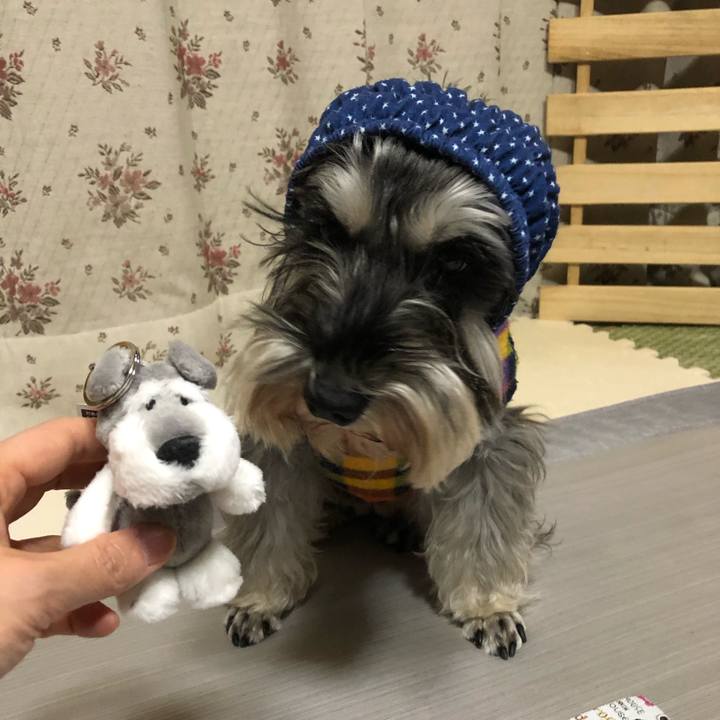 C6c977ed 38ba 4ada a9ef c4f47c210e1f 1578316549377