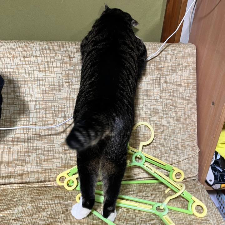 C6c9791e 4a68 4376 853d d66796ee30eb 1768697434060