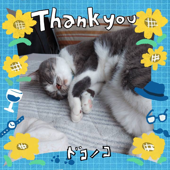 C6c9bad8 7bc4 4826 956f 5ab696fc0958 1717651014411