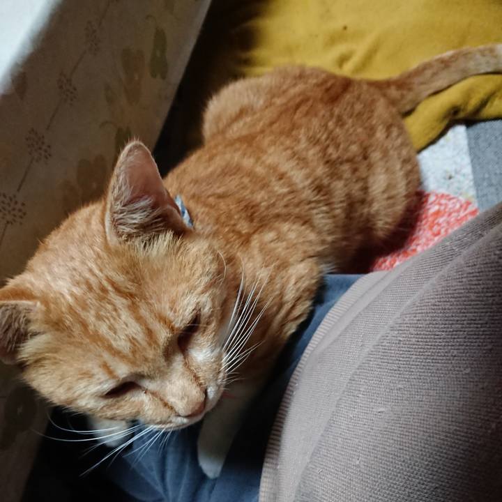 C6c9e7e1 31bb 4072 bf1d d10b367f1b10 1571034220836