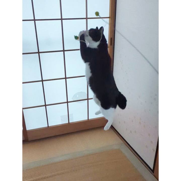 C6c9f065 a894 4286 80b2 706be1a7496d 1705897171677