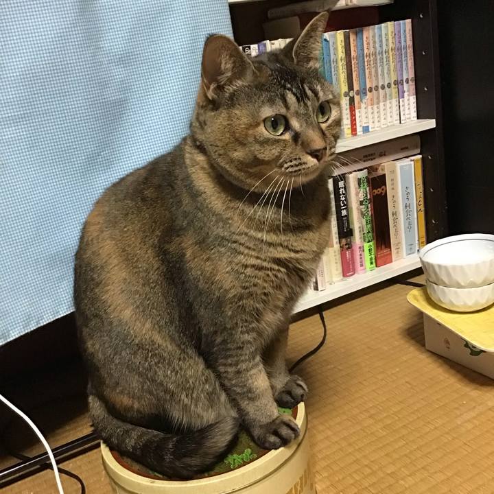 C6c9f389 acbe 42a6 9f25 dc728e1f329d 1701690322084