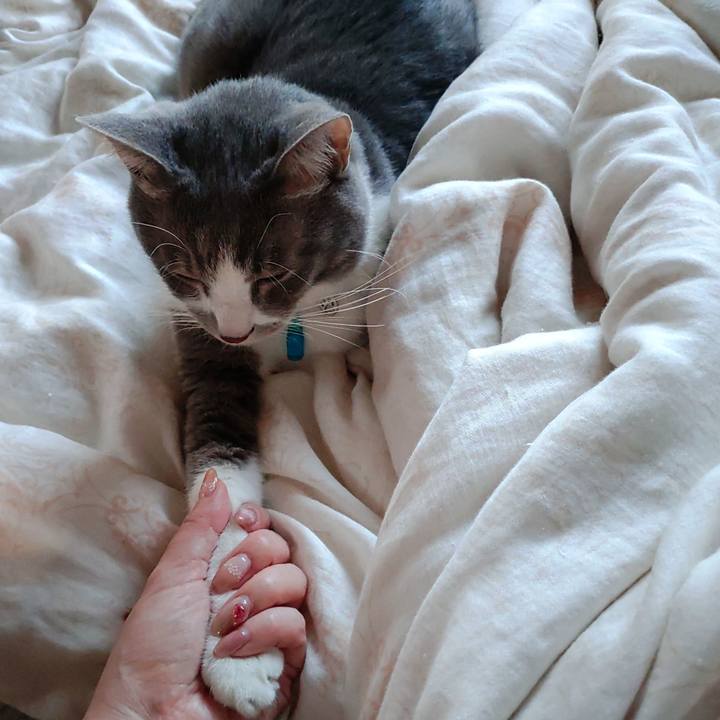 C6c9f56c f1ec 4943 a963 34bc7e5475b3 1698880493673