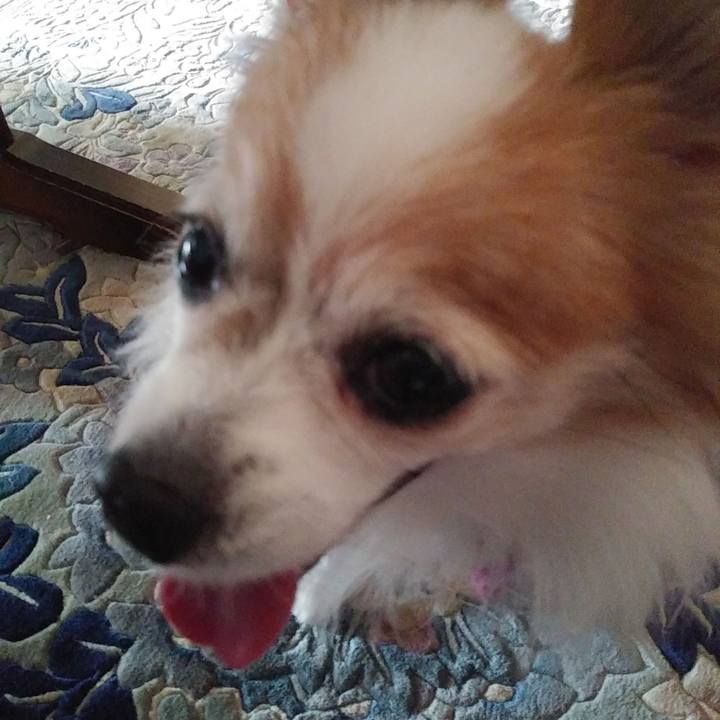 C6ca41f2 e672 403f b236 435b2c6e8baf 1537760994759