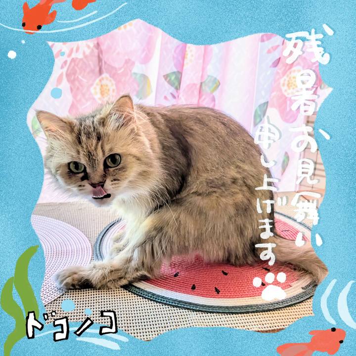 C6ca9d50 7516 405a a438 a89cf9f8ce51 1723323847105