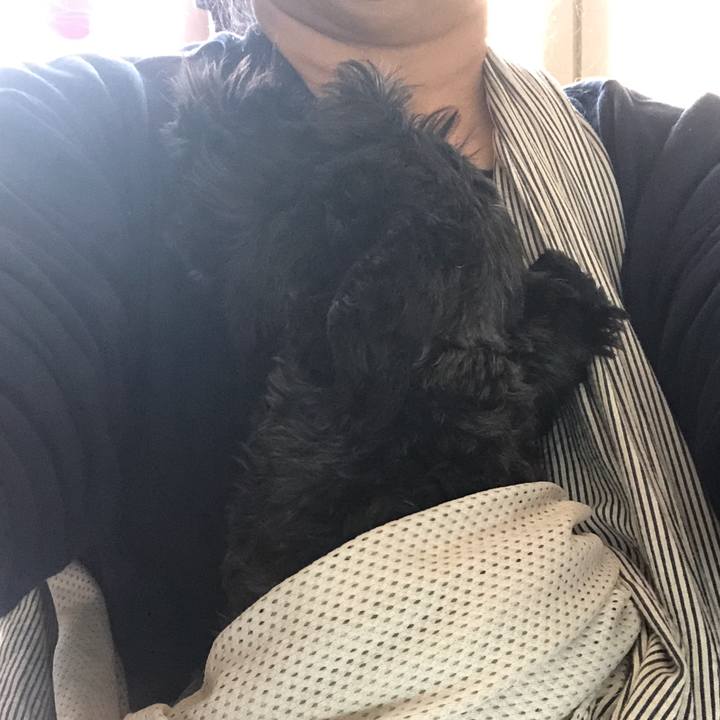 C6cac20b 3916 4062 92eb a8e0b282b88d 1582859077596