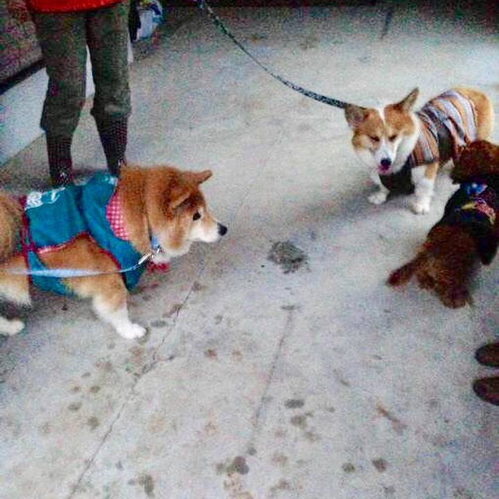 C6cb161c b9c5 41c9 9b0a e5ea6ebe587e 1524614909377