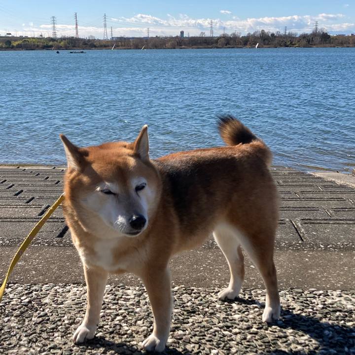 C6cb341e 08a3 4a82 9bef a0662b39eedc 1642492444824