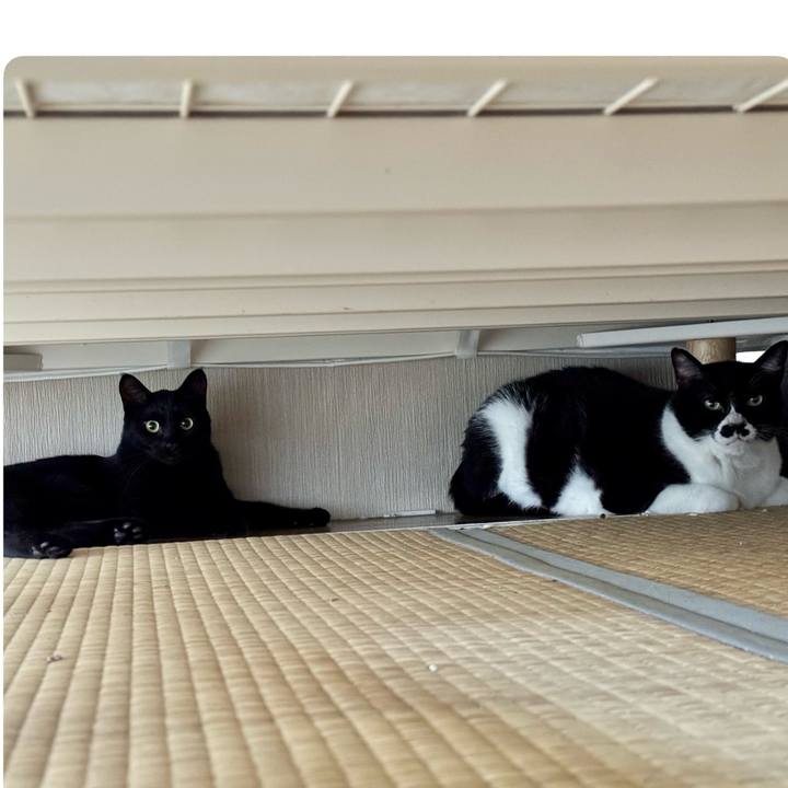 C6cb46e6 922d 4397 8c3f 898d182e6767 1754616082934