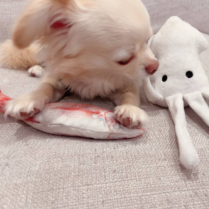 C6cb503c 09ae 49f1 8ed6 a74f5e5018d9 1719577410287