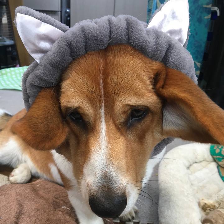 C6cb80f9 61c4 45ff 826c ee3380ca6fc7 1604023521023