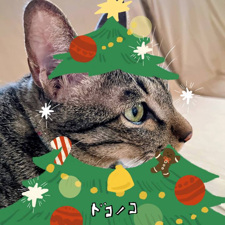 C6cb895f 0af6 4239 96f8 0df3a46cc16d 1762239551437