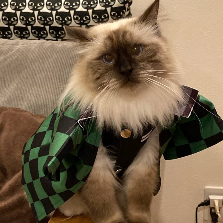 C6cb9864 698e 4d28 9a07 57e9e2d45e8b 1603978716922