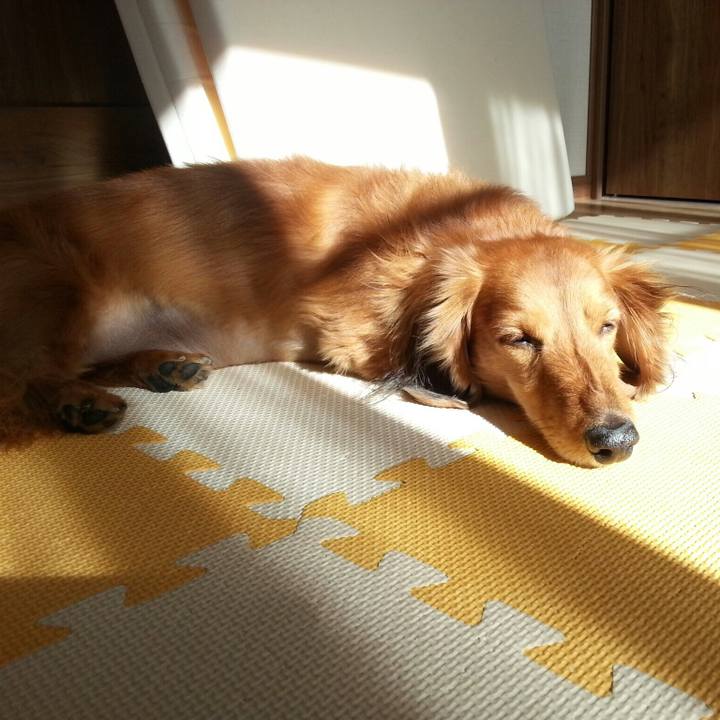 C6cbce14 ebd4 4071 8a48 9bfdf47c3159 1515568888392