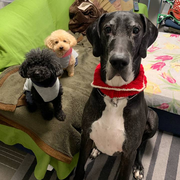 C6cbd229 7c5e 4c07 b38f df9d2bfe0d90 1550097222319