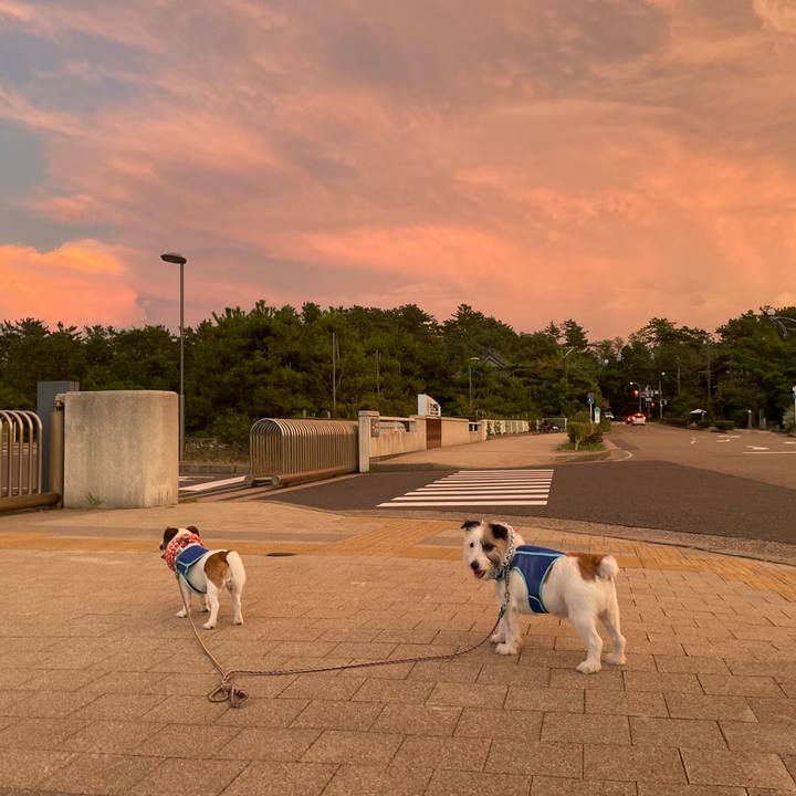 C6cbe3d8 5615 47ac 9db1 f4a5211bdfc9 1692352965694