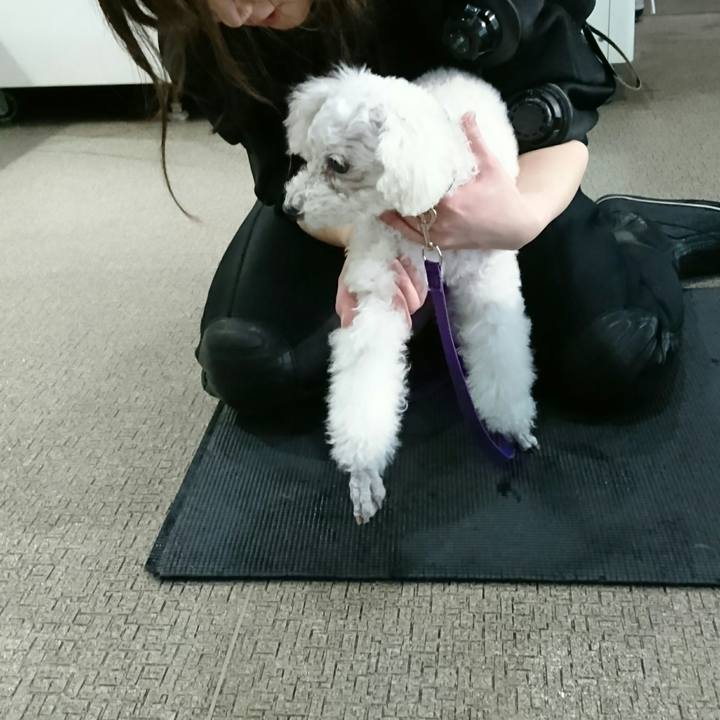 C6cbfada 3417 421a bfae e592c7df8c2e 1547897477584