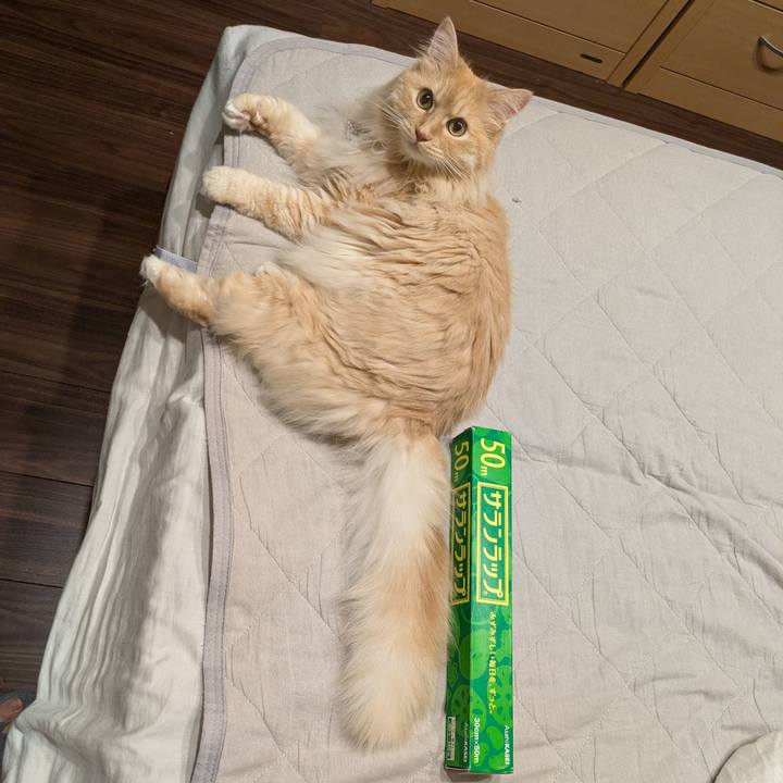 C6cbfb12 f2b4 493f bccd 6d2c745492d3 1752143618621