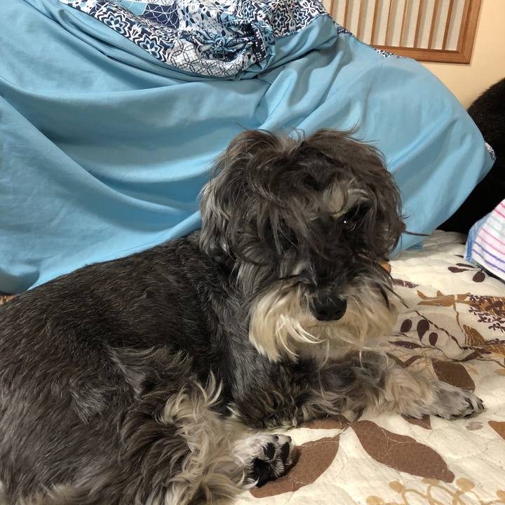 C6cc0711 1b40 4a0c aea7 1cb8a5103271 1527455264439