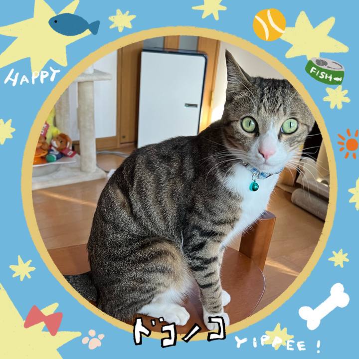 C6cc1ef6 90dc 48f3 a3d7 299212dc127e 1721272537000