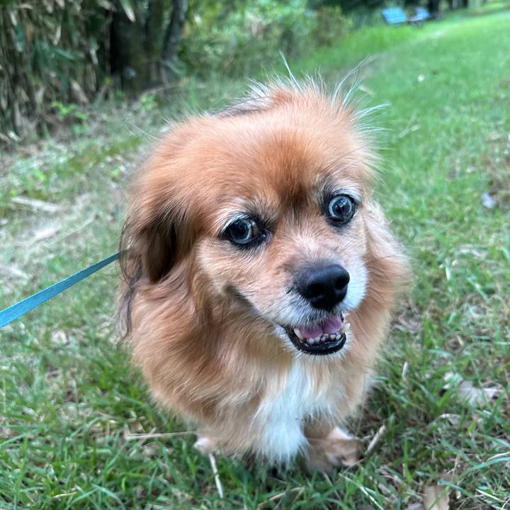 C6cc22f2 a55e 47dc b992 babeacb91f16 1726521019105