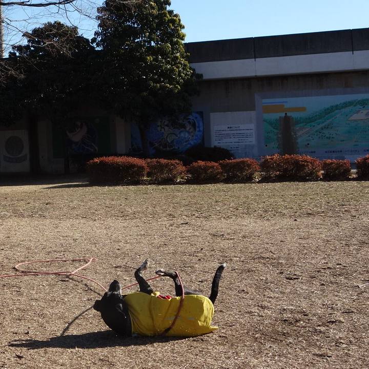 C6cc2763 afaf 413d bd25 0ff30c94e698 1740012348459