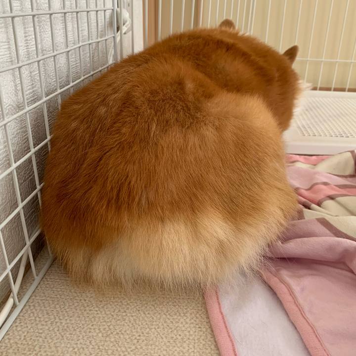 C6cc2a0e dfec 467a 9290 200a6dfb88bf 1712027657414