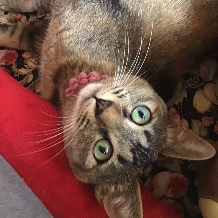 C6cc3963 2b97 40c8 8fc3 9cad9ee371cb 1592364191721