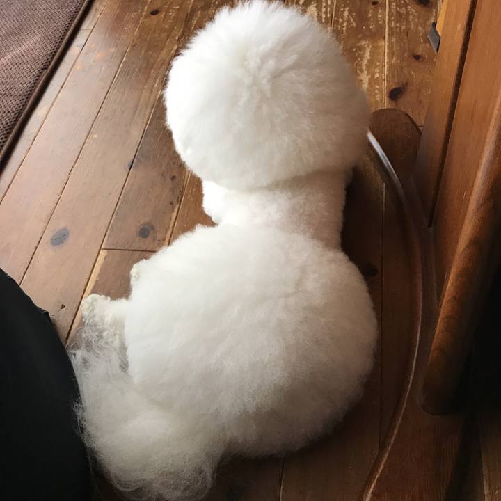 C6cc5949 15c7 46af 81b4 956a53dd8439 1533252387179