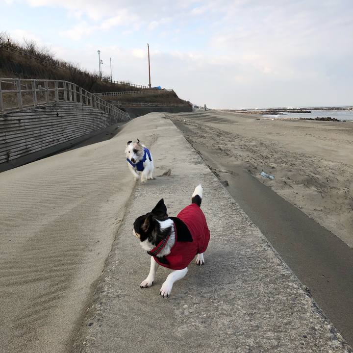 C6cc6dfc 4292 40ab 80be 7d3390fb8fc0 1549326732519