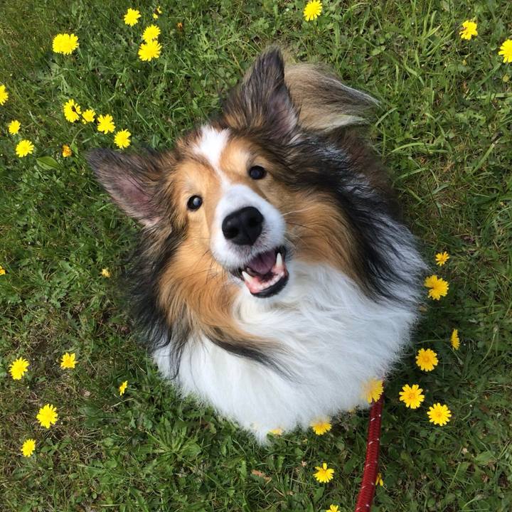 C6cc829c f5e6 41f8 ae52 4499e1cf58ac 1751190276312