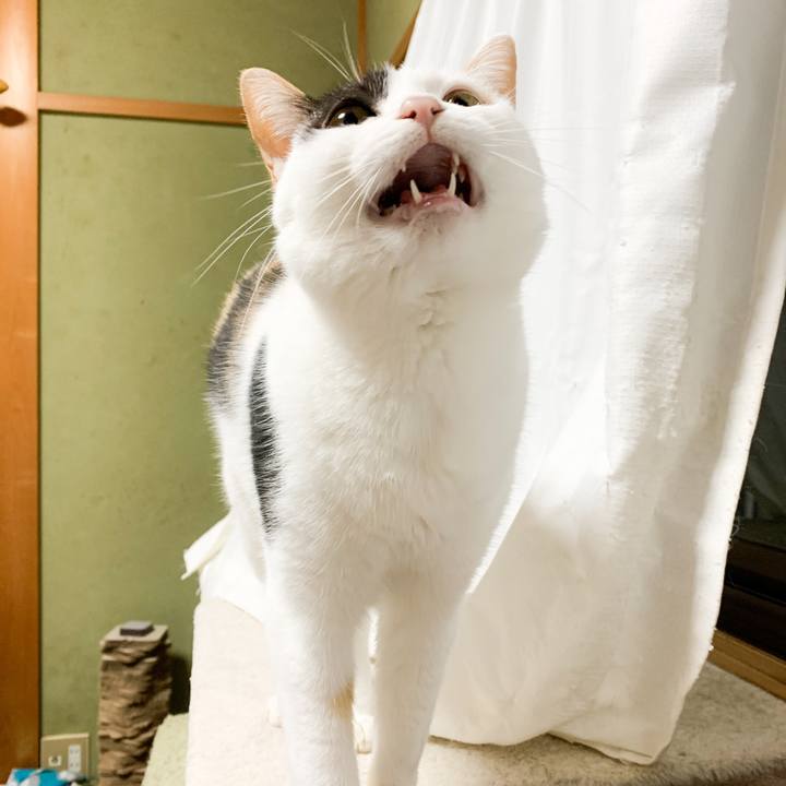 C6ccb7b7 ad15 4cd5 96d3 2d43985ad5f0 1576202619657