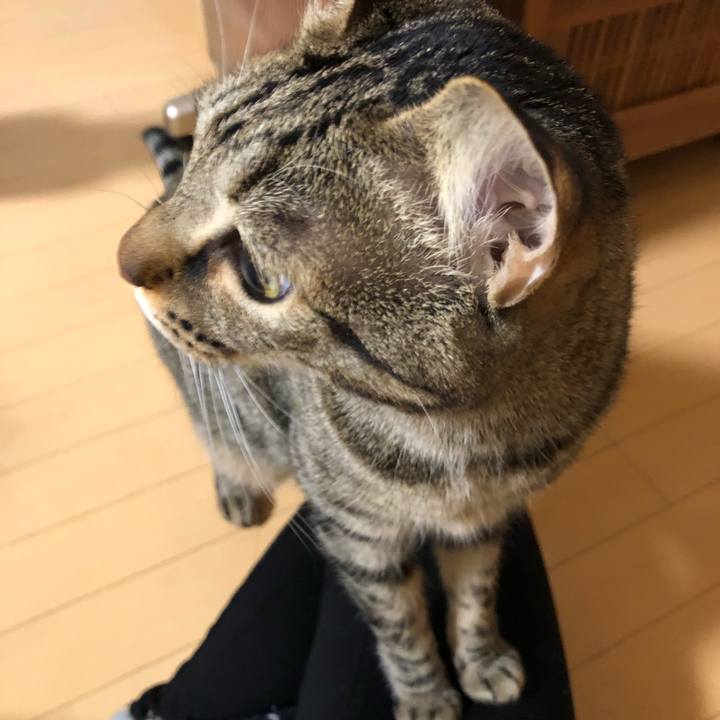 C6ccbf41 0dc4 46aa 88e5 b2326b1ae6bc 1516985423153