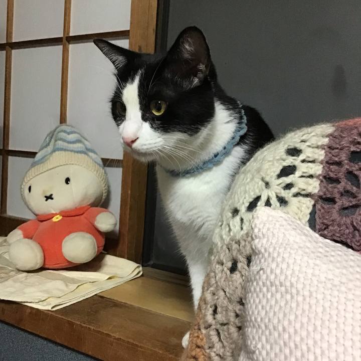 C6ccc2b6 d27f 47be 988b e60d9efd662d 1661262878077