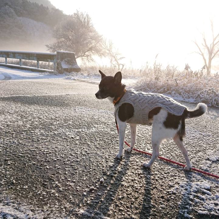 C6cce0d3 895c 46e4 928c e60d2cab4640 1643816742732