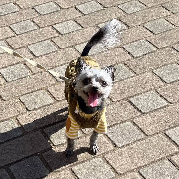 C6cd01b1 2137 40d0 a97b 2e9f732aaa65 1768312112335