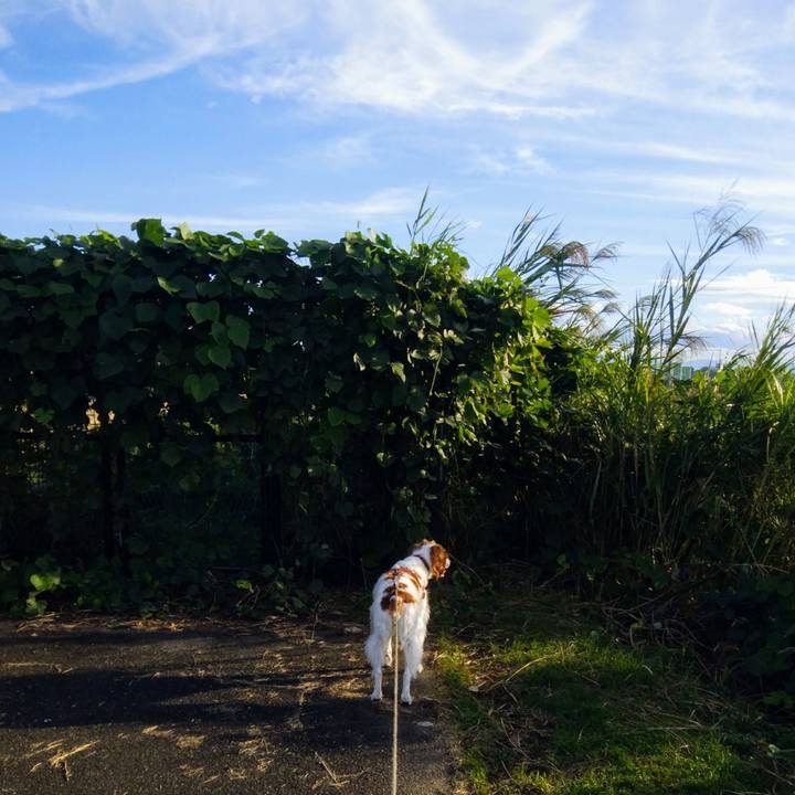 C6cd5919 3b9d 4b54 a07b 2d905f9eae1e 1538728367091