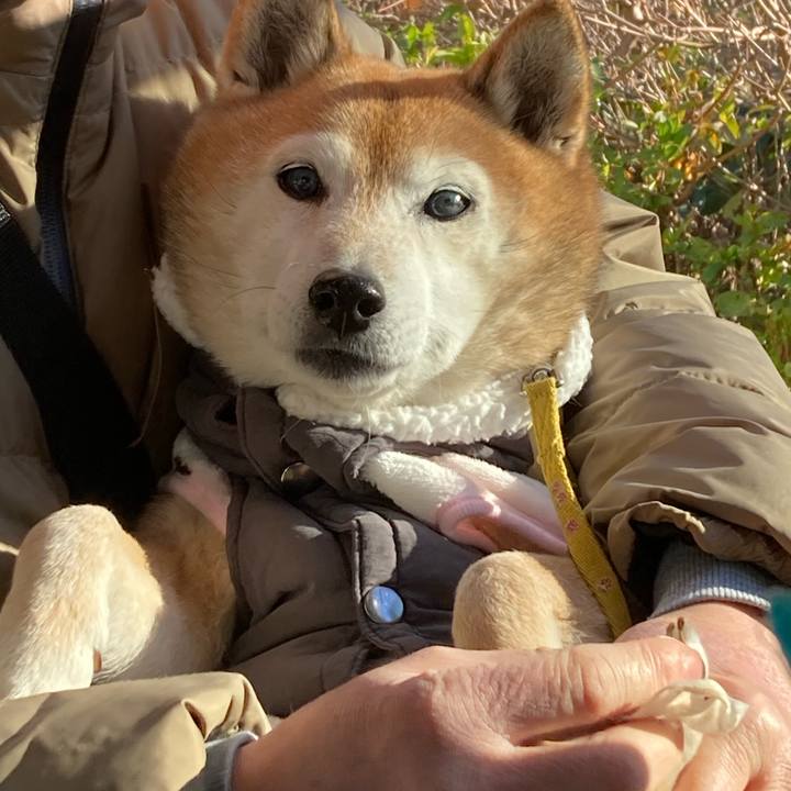 C6cd7bd2 6c1a 4084 bca8 4a1131f5394c 1766901479788