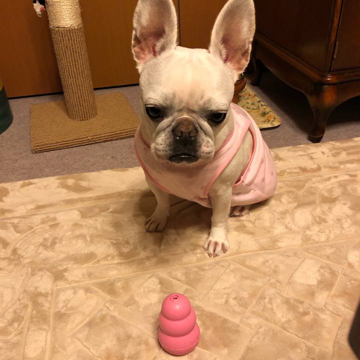 C6cdc8e2 08f2 4636 83dd 3626d9e419ea 1551880593707